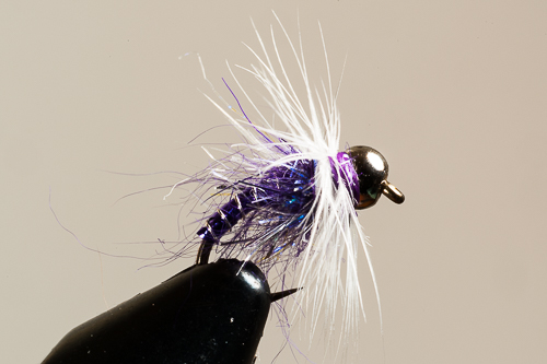 Dazzler, Tungsten, Hackled, Purple