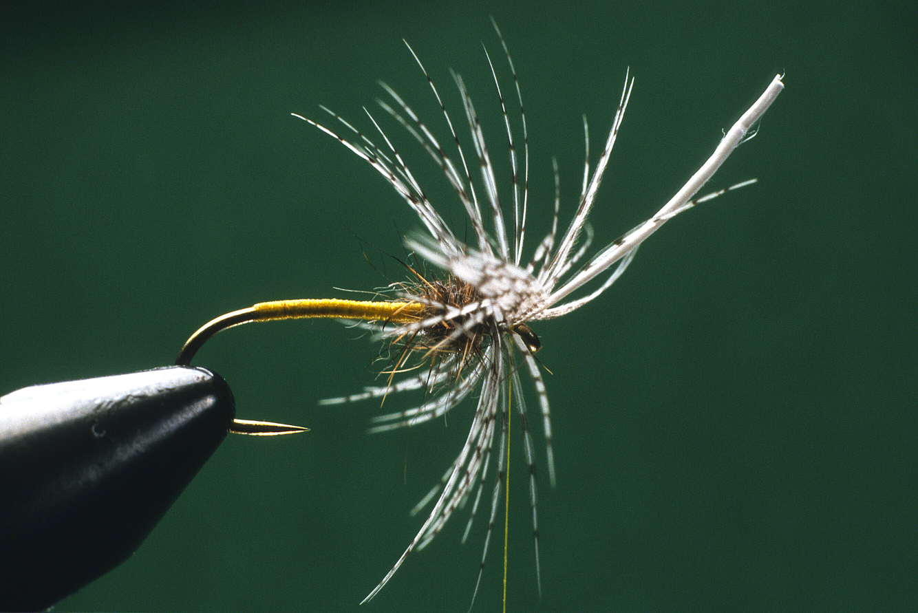Soft Hackle Wet Fly / Nick's Soft Hackle Emerger - The Fly Crate